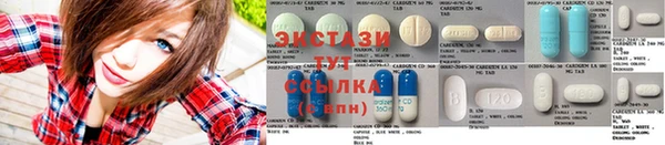 индика Абаза