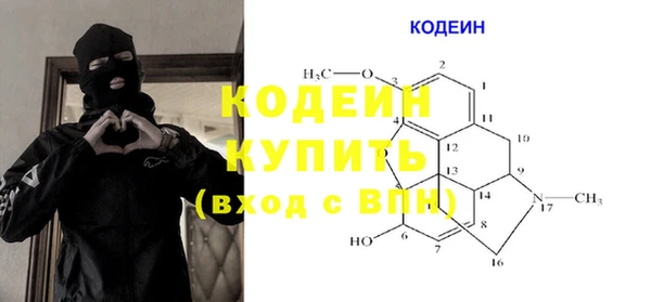 индика Абаза