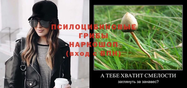 гидропоника Медвежьегорск