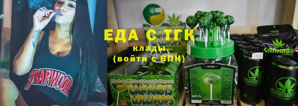 индика Абаза