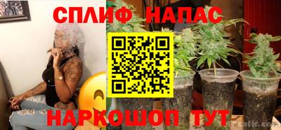 твердый Тара
