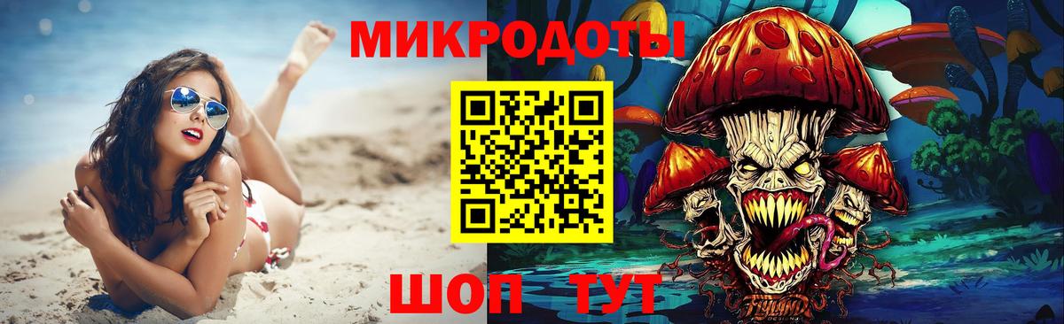 Псилоцибиновые грибы Psilocybe Тихорецк